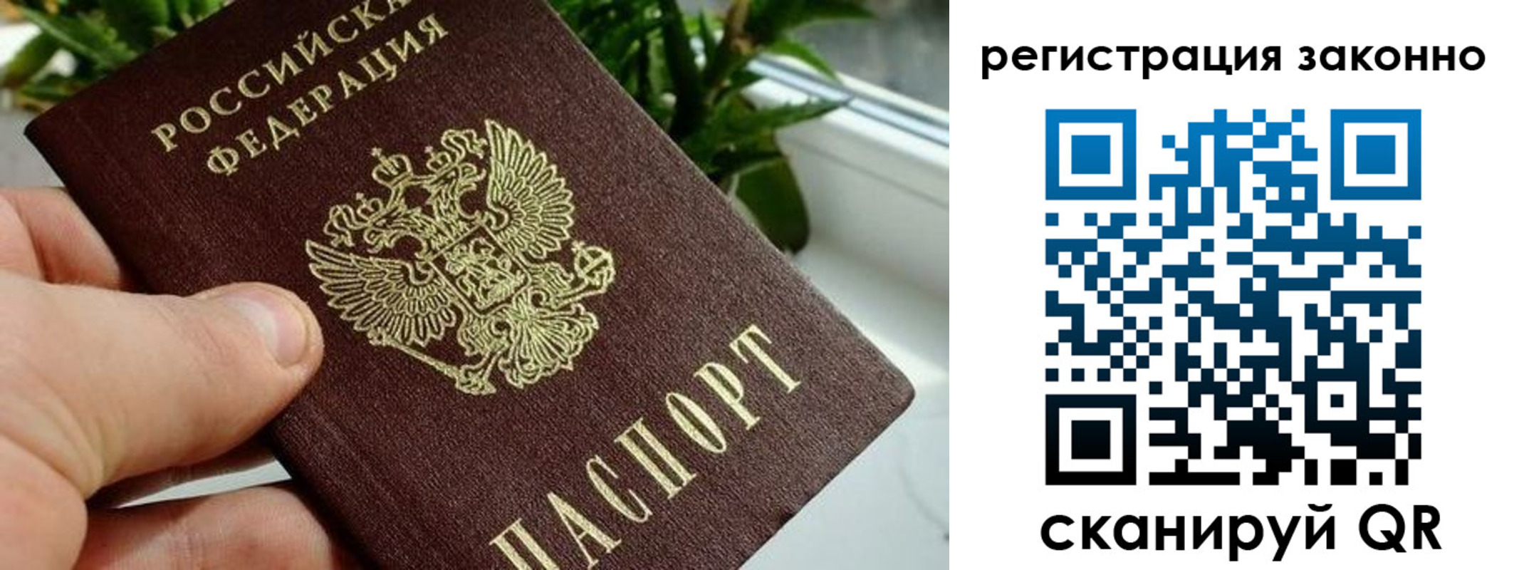 прописка гарантия в Реже